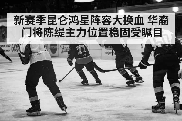 ice hockey action